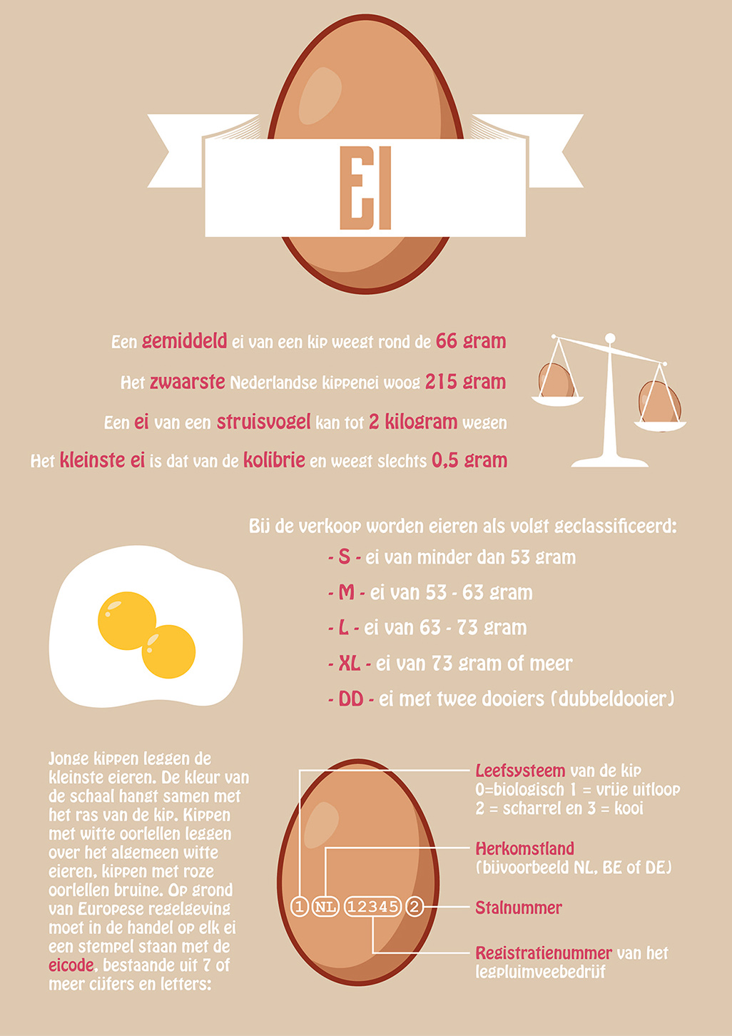 Infografic ei